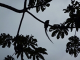 c0202117_13235618.jpg