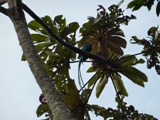 c0202117_13252964.jpg
