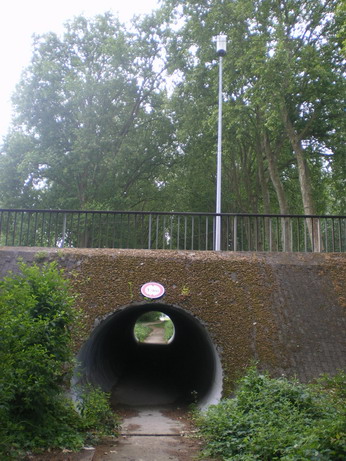 c0124619_015798.jpg