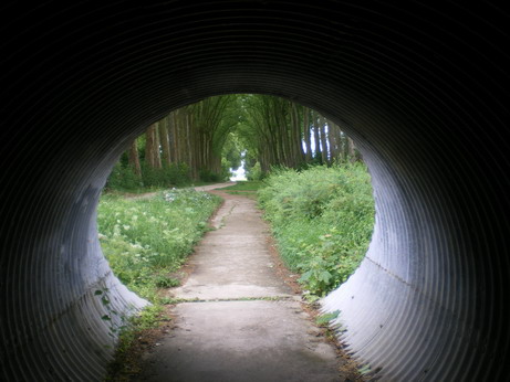 c0124619_022352.jpg