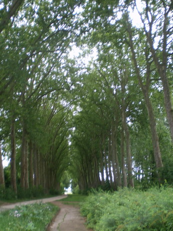 c0124619_03087.jpg