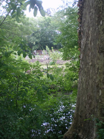c0124619_0752100.jpg