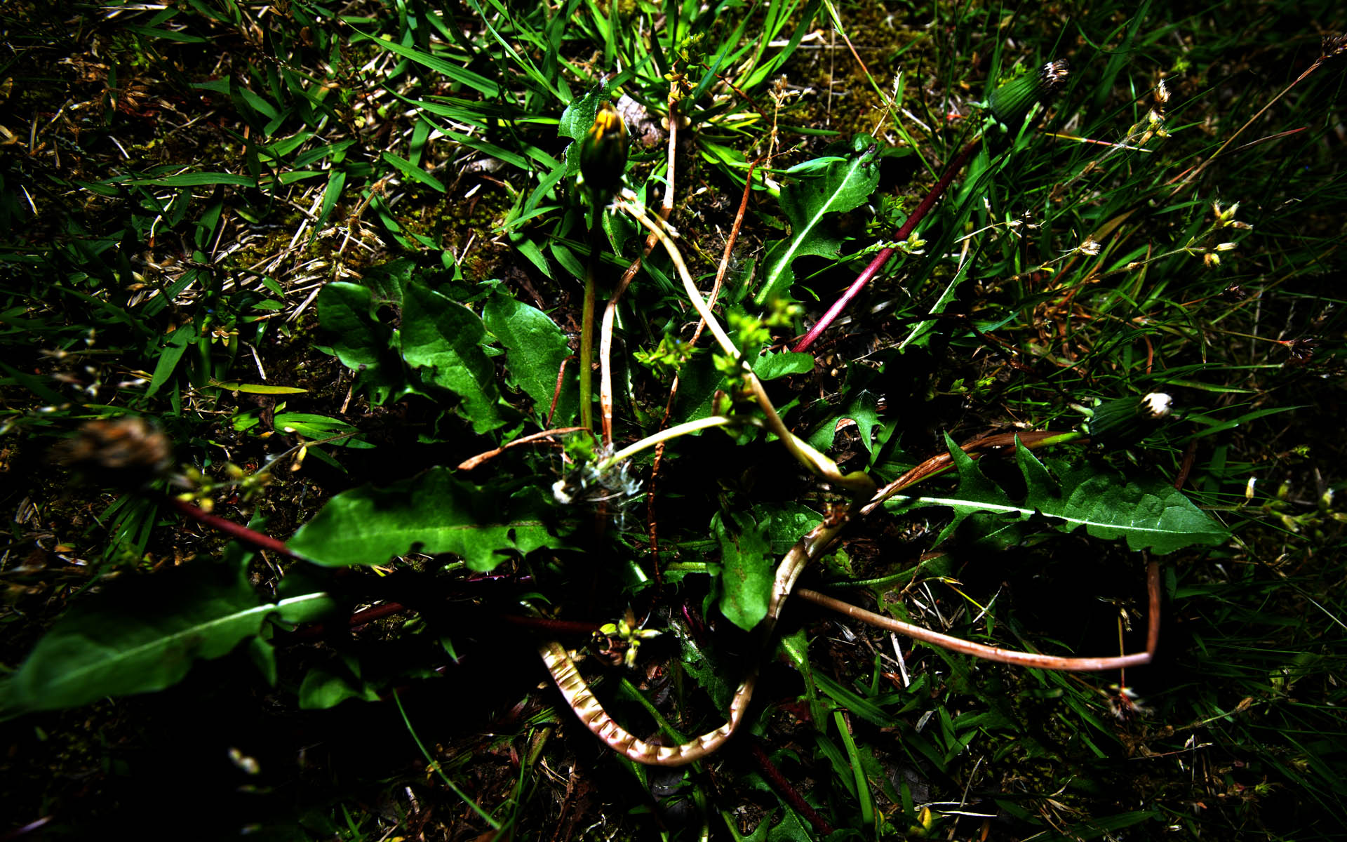 d0073620_2202073.jpg