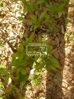 b0160123_20392156.gif