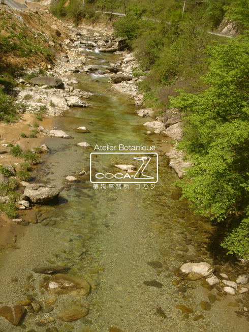 b0160123_20443040.gif