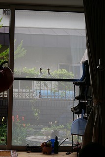 f0170524_12163288.jpg