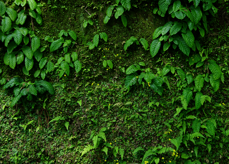 c0223825_11212.gif