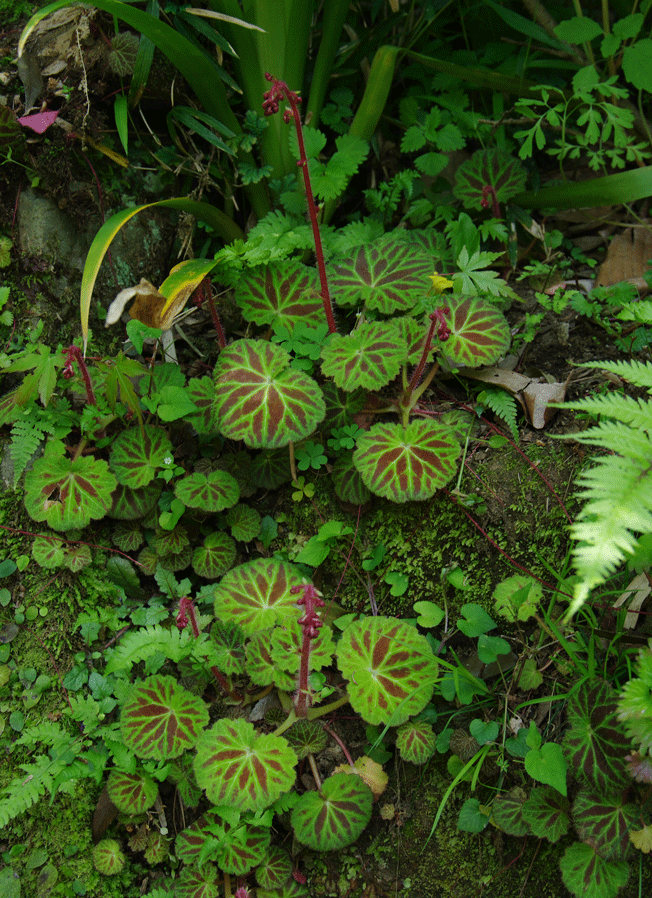 c0223825_19270.gif