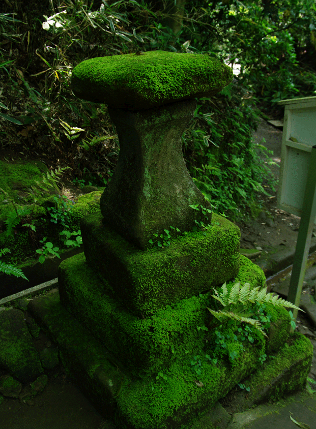 c0223825_194837.gif