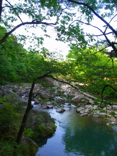 c0153732_015039.jpg