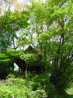 c0153732_073661.jpg