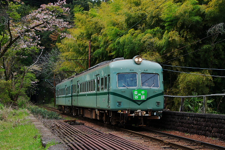 急行「かわね路号」 + α 【大井川鉄道】_e0140535_22115334.jpg