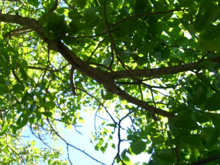c0170236_2031595.jpg