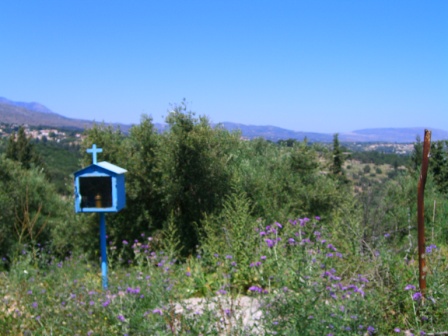 c0170236_2071232.jpg