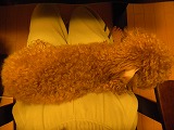 c0153044_7503640.jpg
