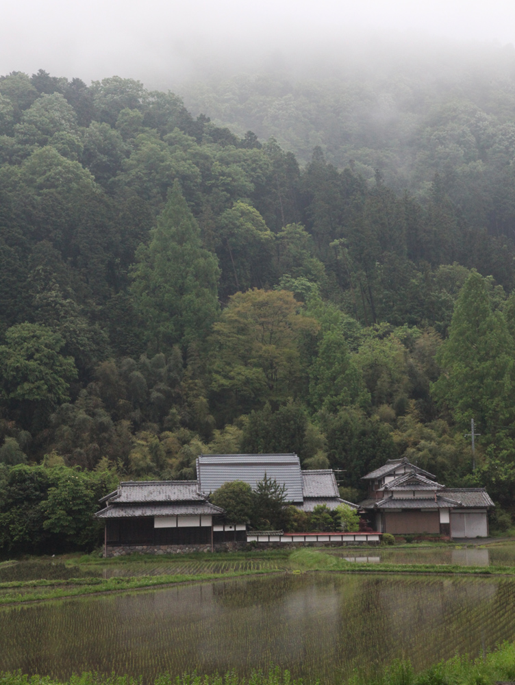 奈良市（旧都祁村）　吐山（はやま）　民家と田圃　雨情_c0108146_21524038.jpg