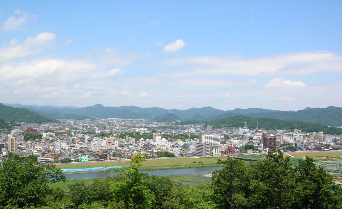 足利 ペタンコ祭 6月1日 浅間神社 (初山祭)_e0127948_18232251.jpg