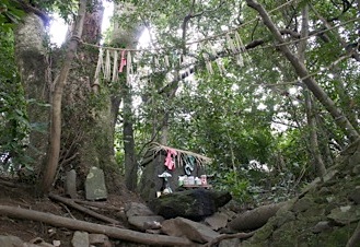 高千穂めぐり　■くしふる神社　その２_b0025850_22185234.jpg