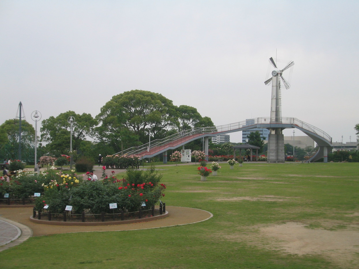 a0027555_18592730.jpg