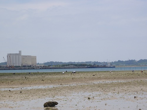 c0180460_21718.jpg