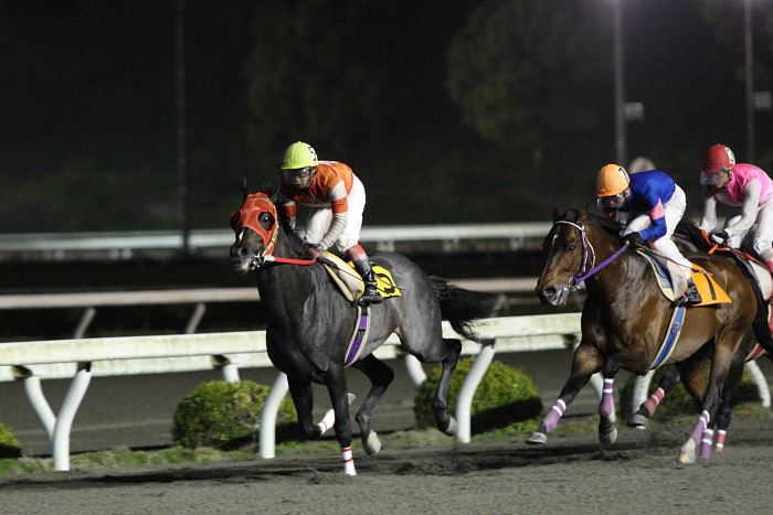 2010年5月10日（月） 高知競馬 10R 一発逆転 ファイナルレース AB記者選抜_a0077663_18242485.jpg