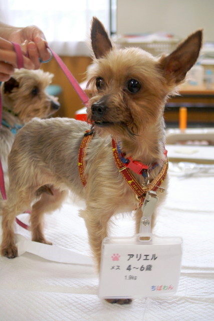 f0192863_1418862.jpg
