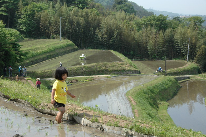 長野県今錦田植え_d0155465_184412100.jpg