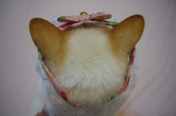 surprise gift._c0153966_20544077.jpg