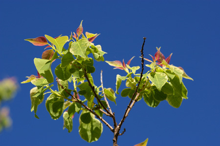 c0213766_2350159.jpg