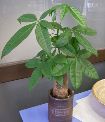 f0014970_848136.jpg
