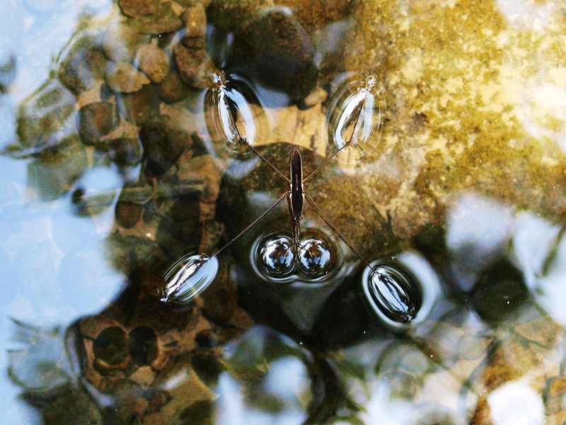 水辺の公園_b0135573_20403562.jpg