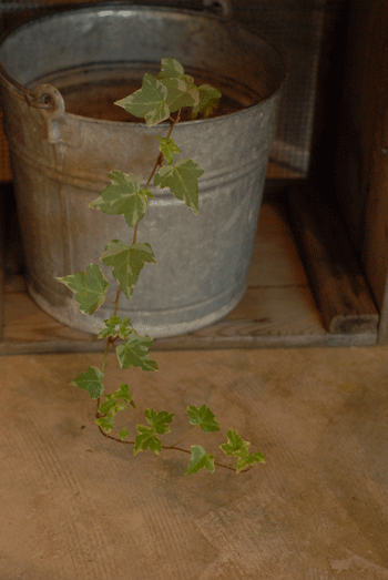 b0173176_191070.gif