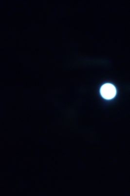 b0097482_19205.jpg