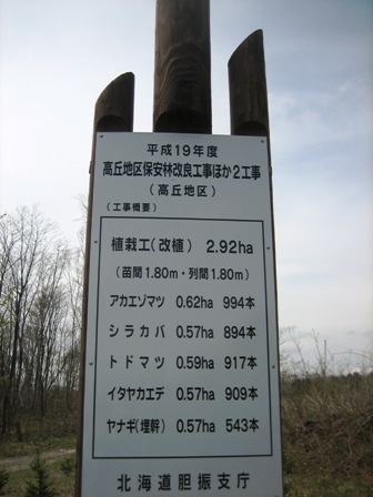 b0097183_171014.jpg