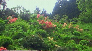 e0161791_12451064.jpg