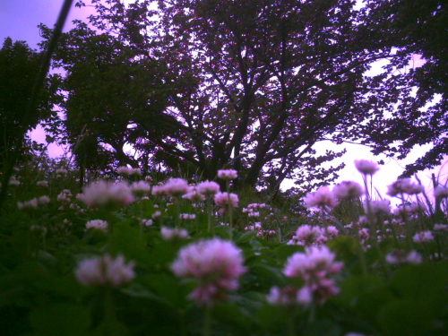 c0225394_1042.jpg