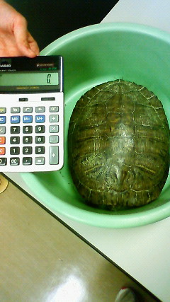 えっ〜ご案内_a0105698_9571454.jpg