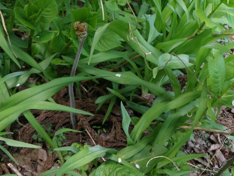 a0138198_10562312.jpg