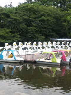 e0156298_155337.jpg