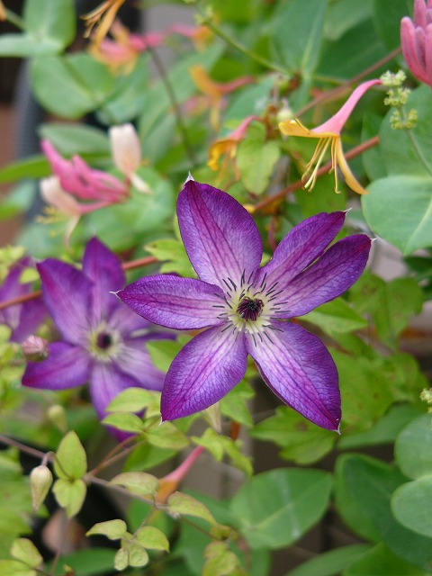 a0123003_21463516.jpg