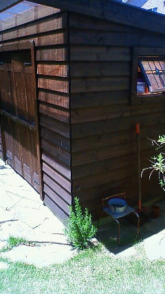 e0170503_0262499.jpg