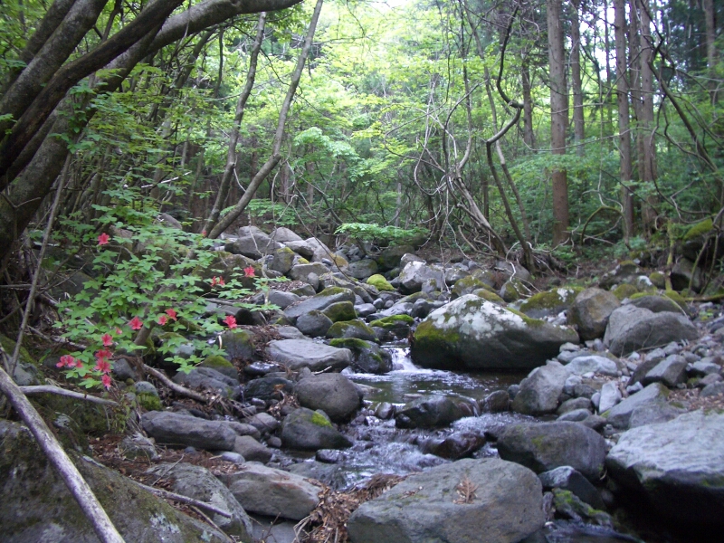 b0172805_2355254.jpg