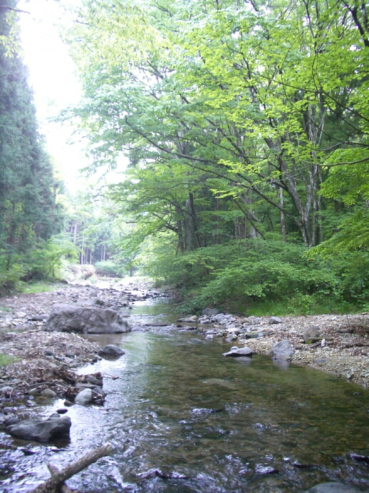 b0172805_23563853.jpg