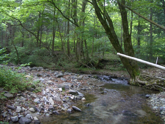 b0172805_23571169.jpg