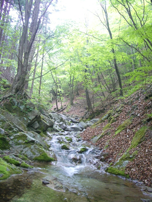 b0172805_23581264.jpg