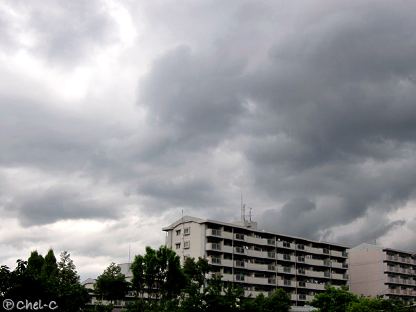 a0154706_16224786.jpg