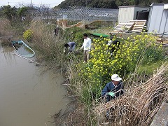 e0093407_0283585.jpg