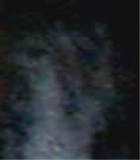 e0103408_15122569.gif