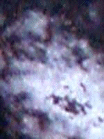 e0103408_1512266.gif
