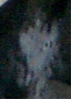 e0103408_1531399.gif